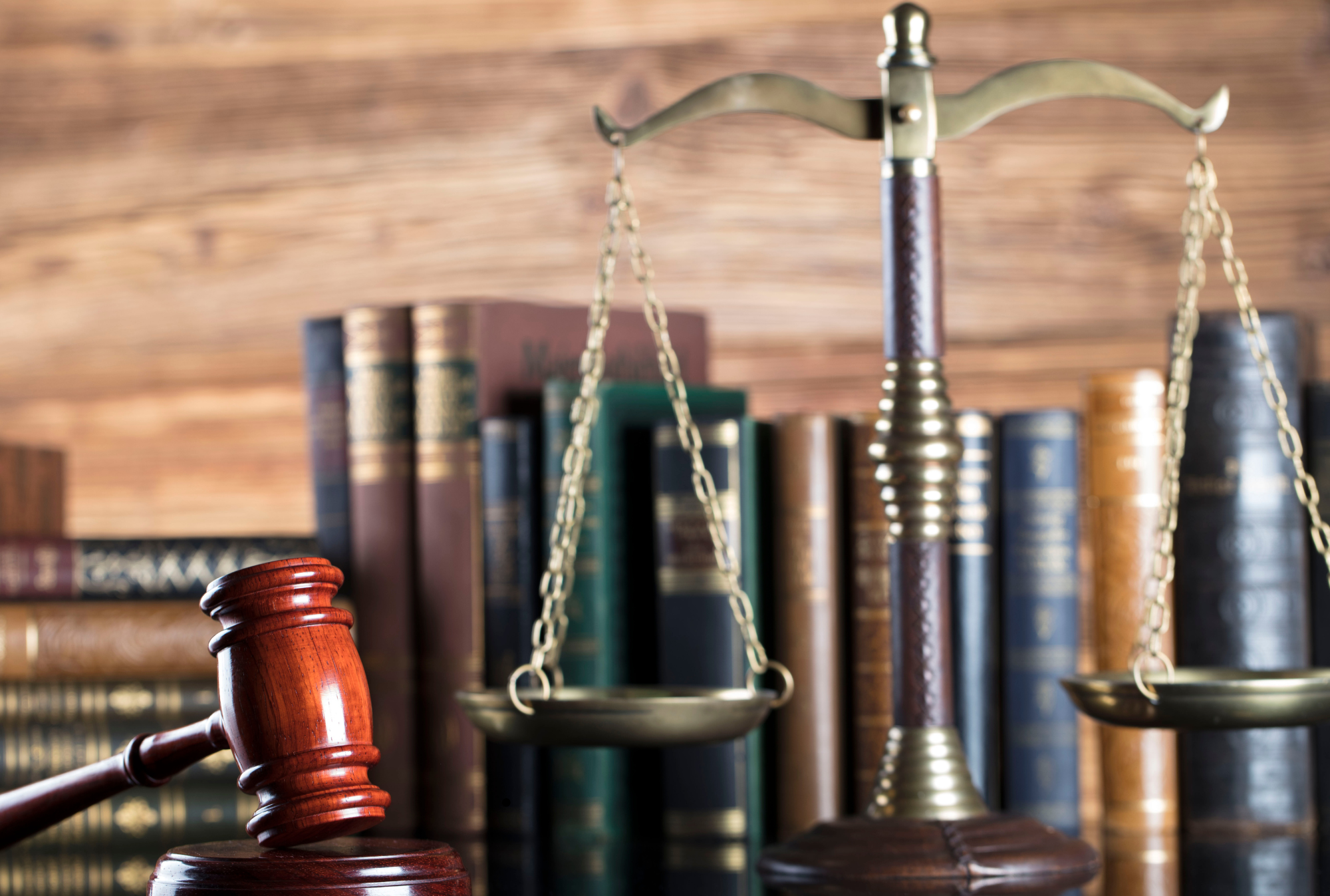 Jogvédelem: cégfelszámolás, kényszertörlés, végelszámolás, csődeljárás, cégjog, vállalati jog, adójog, adótanácsadás, gazdasági büntetőjog, munkajog, tűzvédelem, oktatás, compliance, közbeszerzés, pályázat, gazdasági mediátor, szervezeti ombuds, követeléskezelés, tartozás kezelés, végrehajtás, ingatlanok adásvétele, árverezés, árverés, panaszkezelés, cégalapítás, nonprofit szervezet alapítás